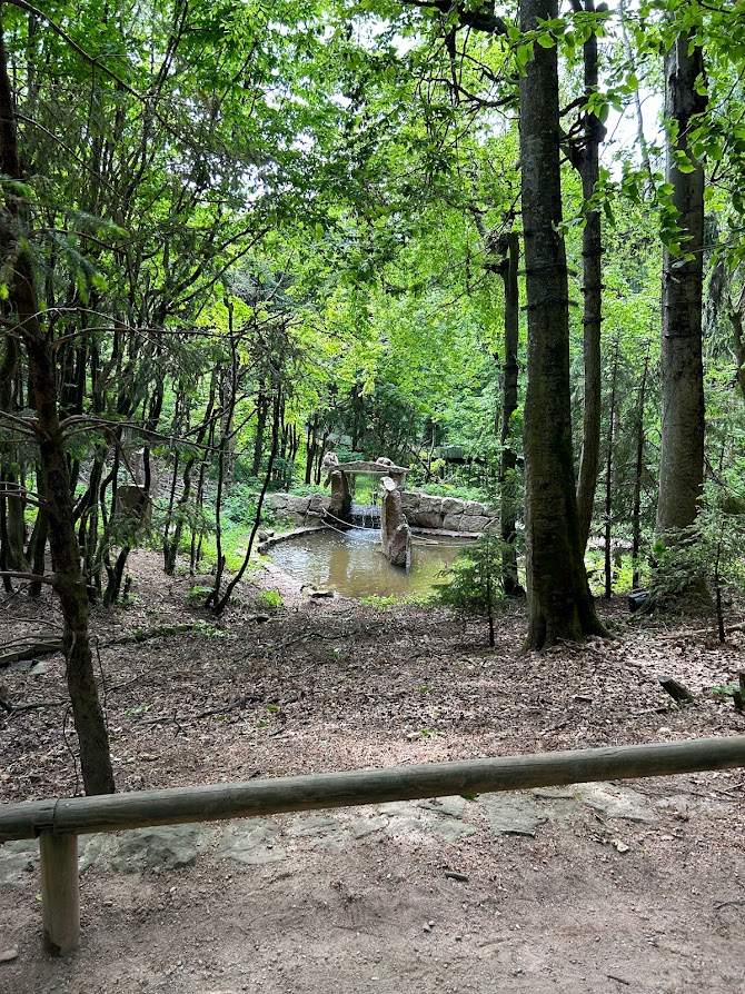 Visiter la montagne des singes en Alsace