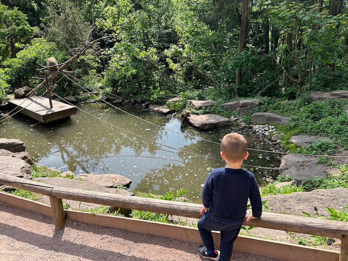 Visiter la montagne des singes en Alsace